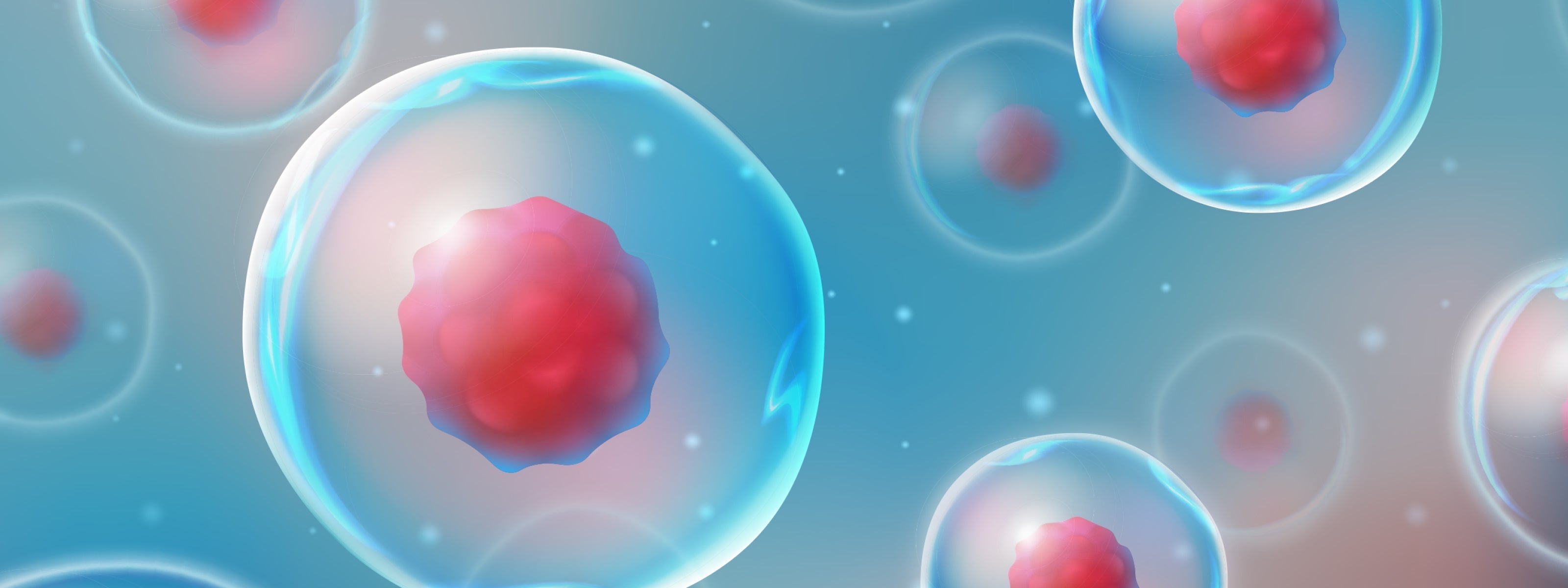 The essential guide to cellular health