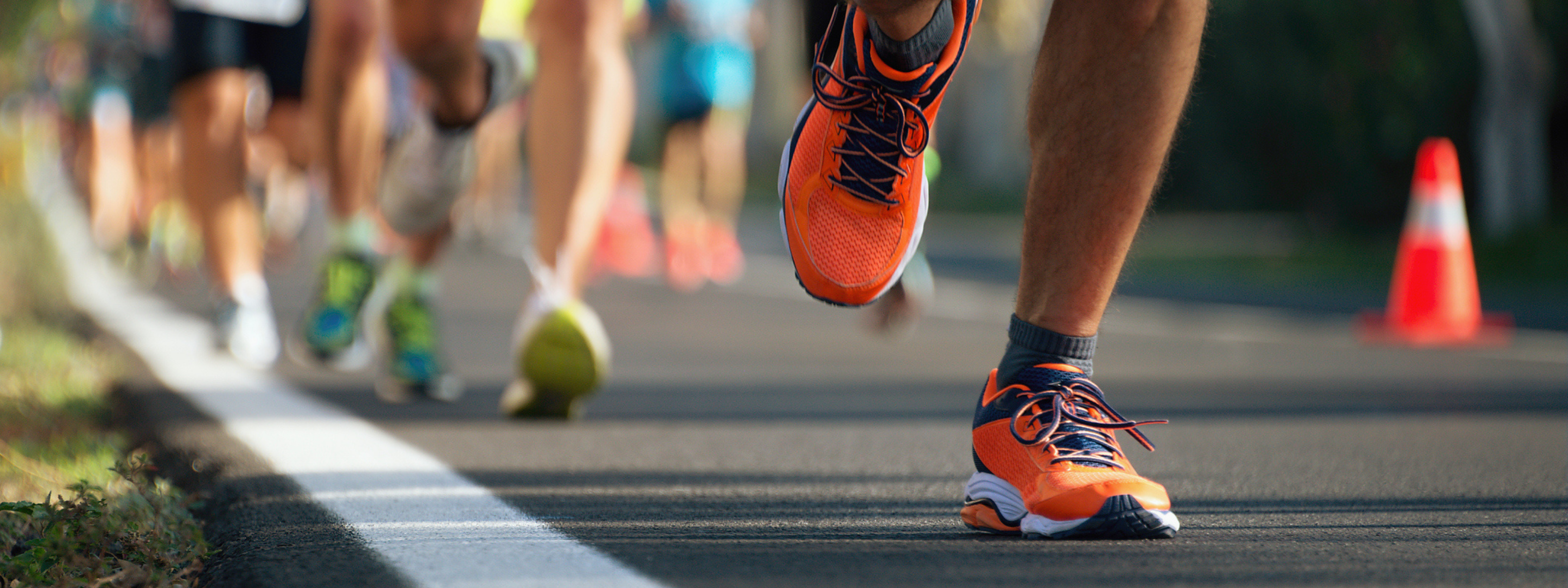 The Complete Guide to Triathlon Training, Recovery and Adaptation
