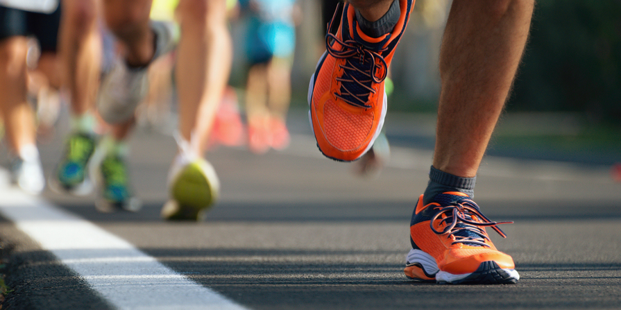 The Complete Guide to Triathlon Training, Recovery and Adaptation